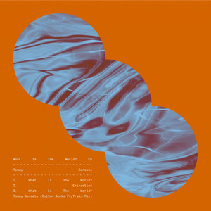 What Is The World (Cotton Socks PsyTrain Mix)