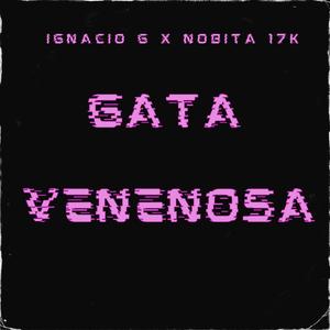 GATA VENENOSA (feat. carlitos flow)