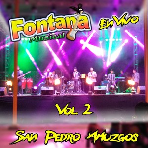 San Pedro Amuzgos, Vol. 2 (En Vivo)