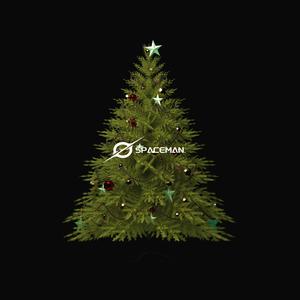 Christmas night (圣诞夜)