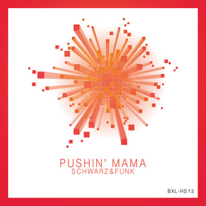 Pushin' Mama(Long Train Running)