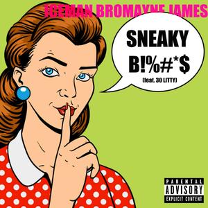 Sneaky *****es(feat. Iceman Bromayne James) (Explicit)
