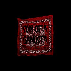 Chief Kapone - Who I Am (feat. Solon) (Explicit)