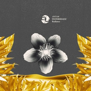 Radiance (Radio Edit)