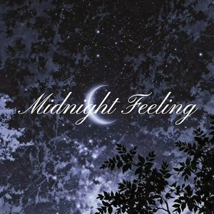 Midnight Feeling（氛围纯音乐）