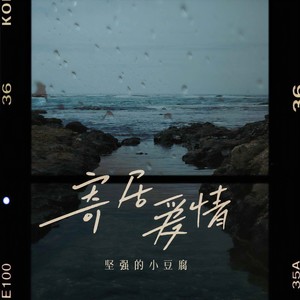 寄居爱情 (伴奏)