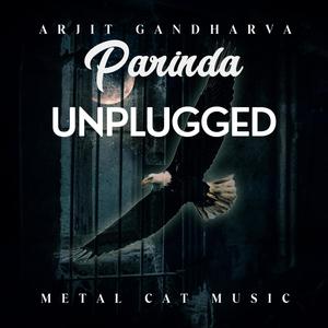 Parinda (feat. Sevek Das) [Unplugged]