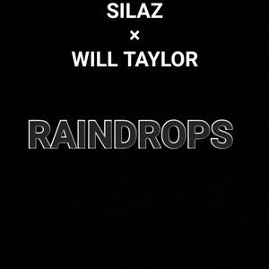 RAINDROPS (feat. Will Taylor) ((Will Taylor Remix))