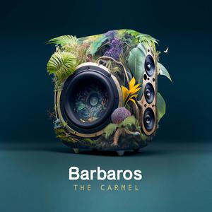 The Carmel (Stereosyn Remix)