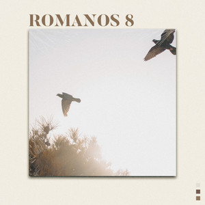 Romanos 8