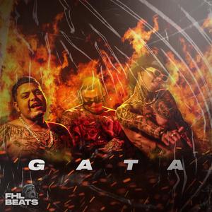 Gata (feat. Maylo B & El Rayaz) [Explicit]