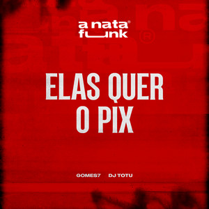 Elas Quer o Pix