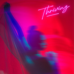 Straight To Paradise