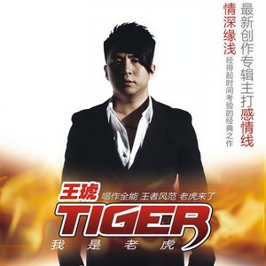我是老虎