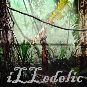 Illedelic