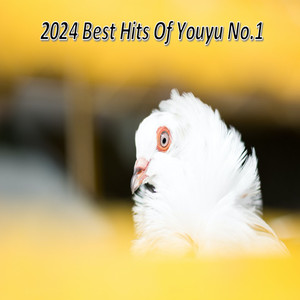 2024 Best Hits Of Youyu No.1