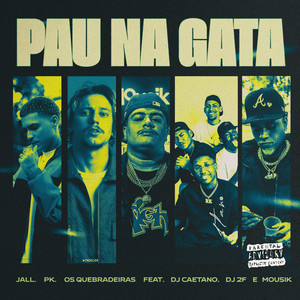 Pau na Gata (Remix) [Explicit]