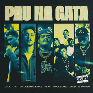 Pau na Gata (Remix|Explicit)