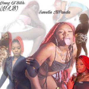 Y.L.B (Young Lit *****) (Explicit)