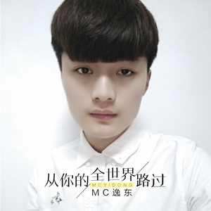 从你的全世界路过