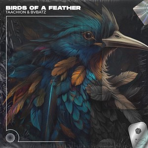 BIRDS OF A FEATHER