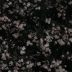 i won't let you feel alone again