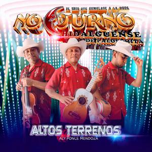 Mi Amor Por el Celular (feat. Trio Nocturno Hidalguense)