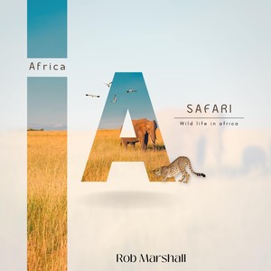 Safari