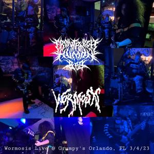 WORMOSIS LIVE AT GRUMPYS UNDERGROUND 3/4/23 (feat. Wormosis)