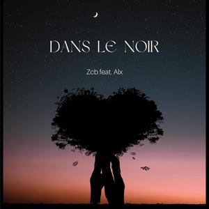 DANS LE NOIR (feat. Alx) [Explicit]