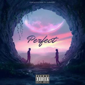 Perfect (feat. Jubxndz) [Explicit]