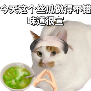 丝瓜汤不错-瓜子皮