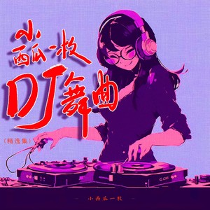甜蜜蜜 (车载dj版)封面