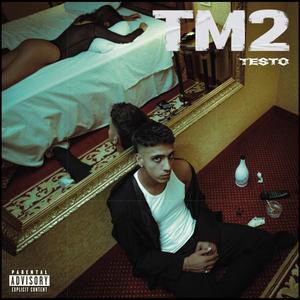 TM2 (Explicit)