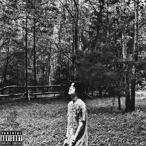 im a grave (feat. slusher!) (Explicit)