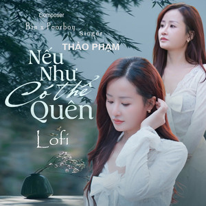 Nếu Như Có Thể Quên (Lofi)