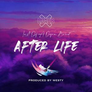 After Life (Explicit)