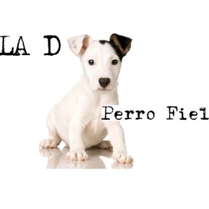 Perro Fiel (En acústico)