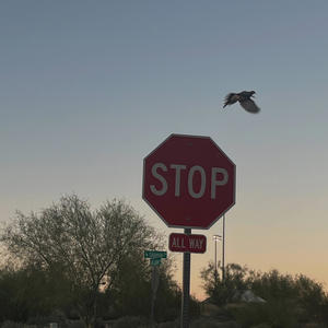 9î-ʝǪ45И9ʝî-ИǪ345