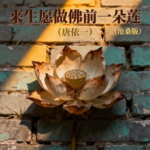 来生愿做佛前一朵莲 (沧桑版)封面