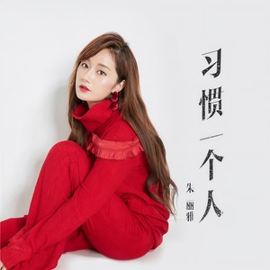 习惯一个人