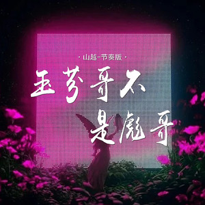 玉芬哥不是彪哥 (节奏版伴奏)