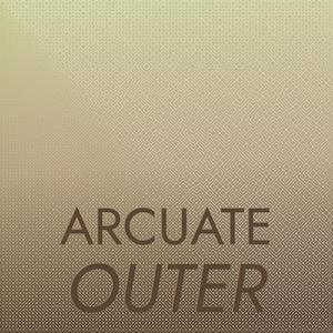 Arcuate Outer