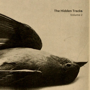 The Hidden Tracks, Vol. 2