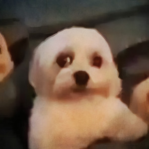 AlgoRITMO (Explicit)