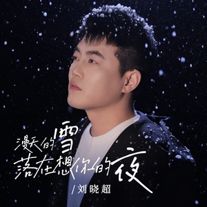 漫天的雪落在想你的夜 (DJ彭锐版)封面