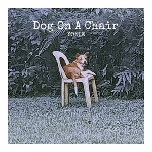 Dog On A Chair