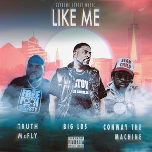 Like Me (Explicit)