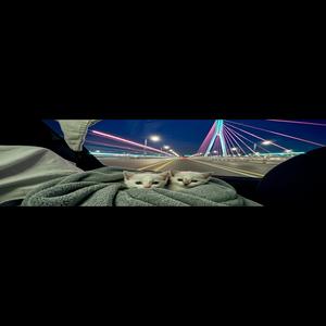 부디 행복하기를 (feat. 차은성)
