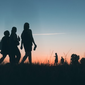 Pok Ane Ane Belalang Kupu Kupu